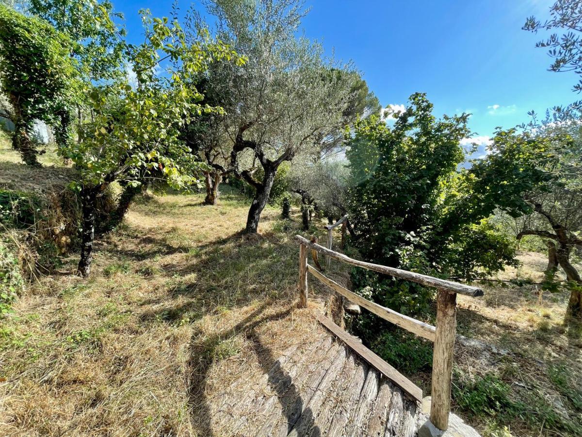 Casa de hóspedes Agri Masusa